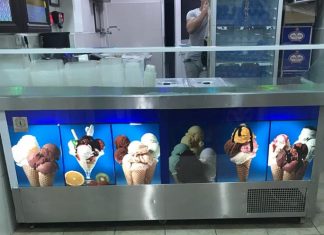 Satılık Beş Gözlü Salamura Dondurma Reyonu