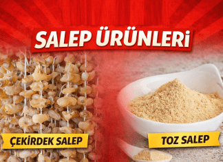 Dondurma Salebi Nereden Alınır?