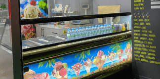 Satılık 5 Gözlü 3 Kutulu Salamura Dondurma Reyonu